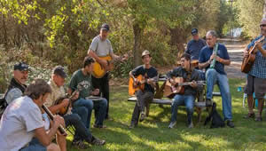 American river music, festival camping options